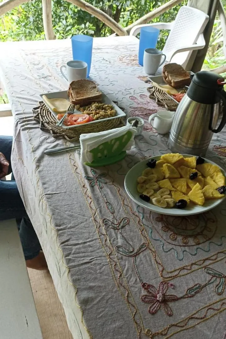 Eco Casa Algana La Bambulera Βίλα El Limon Σπίτι διακοπών